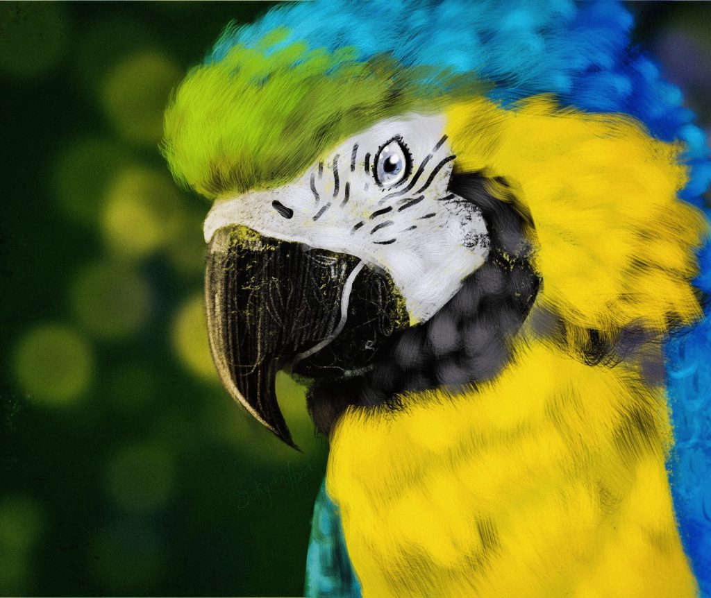 How To Draw A Parrot In Under 45 Minutes