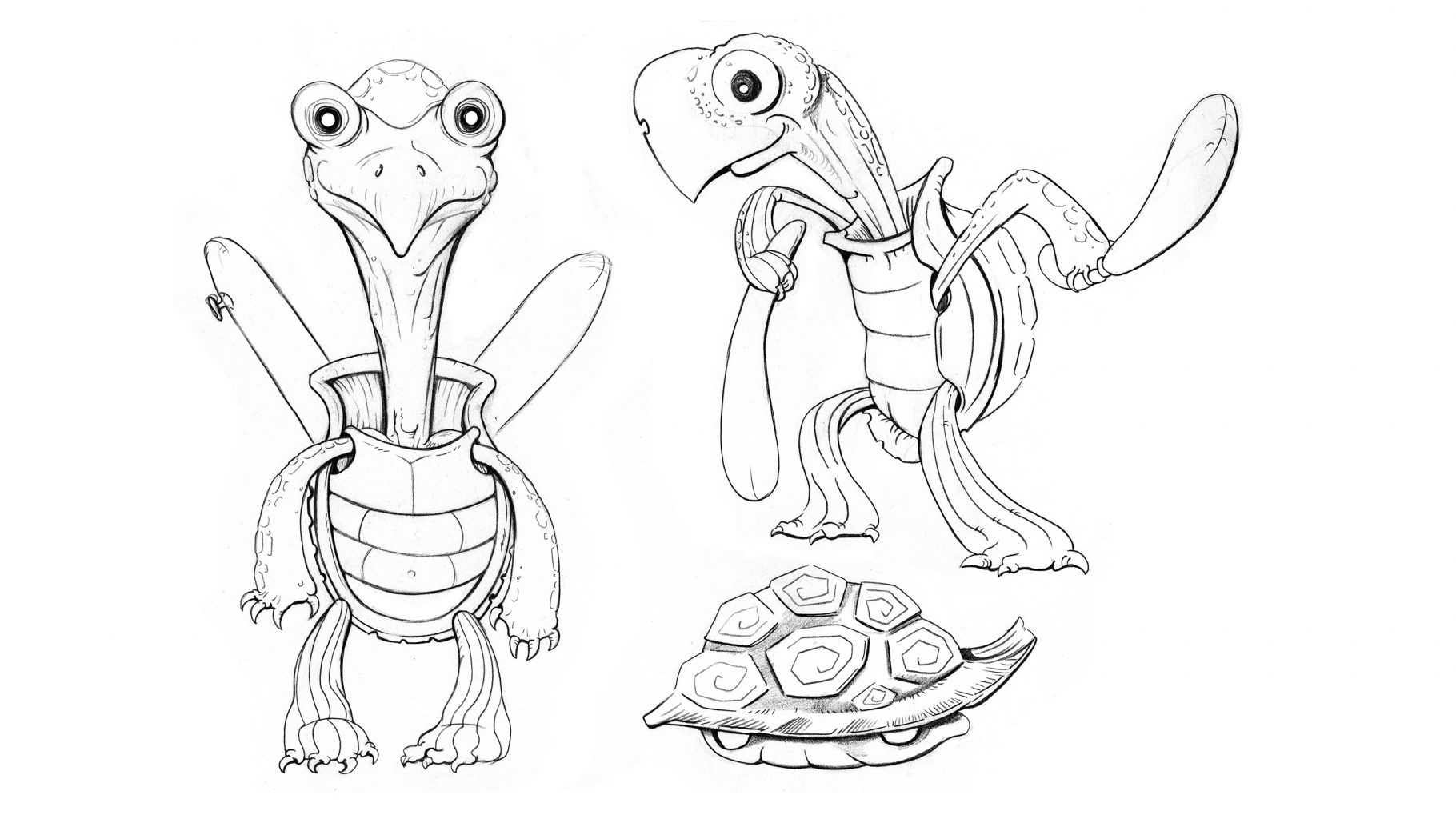 Turtle | Character Design Sheet | Character Design Inspiration | Character Model Sheet | Character Inspiration